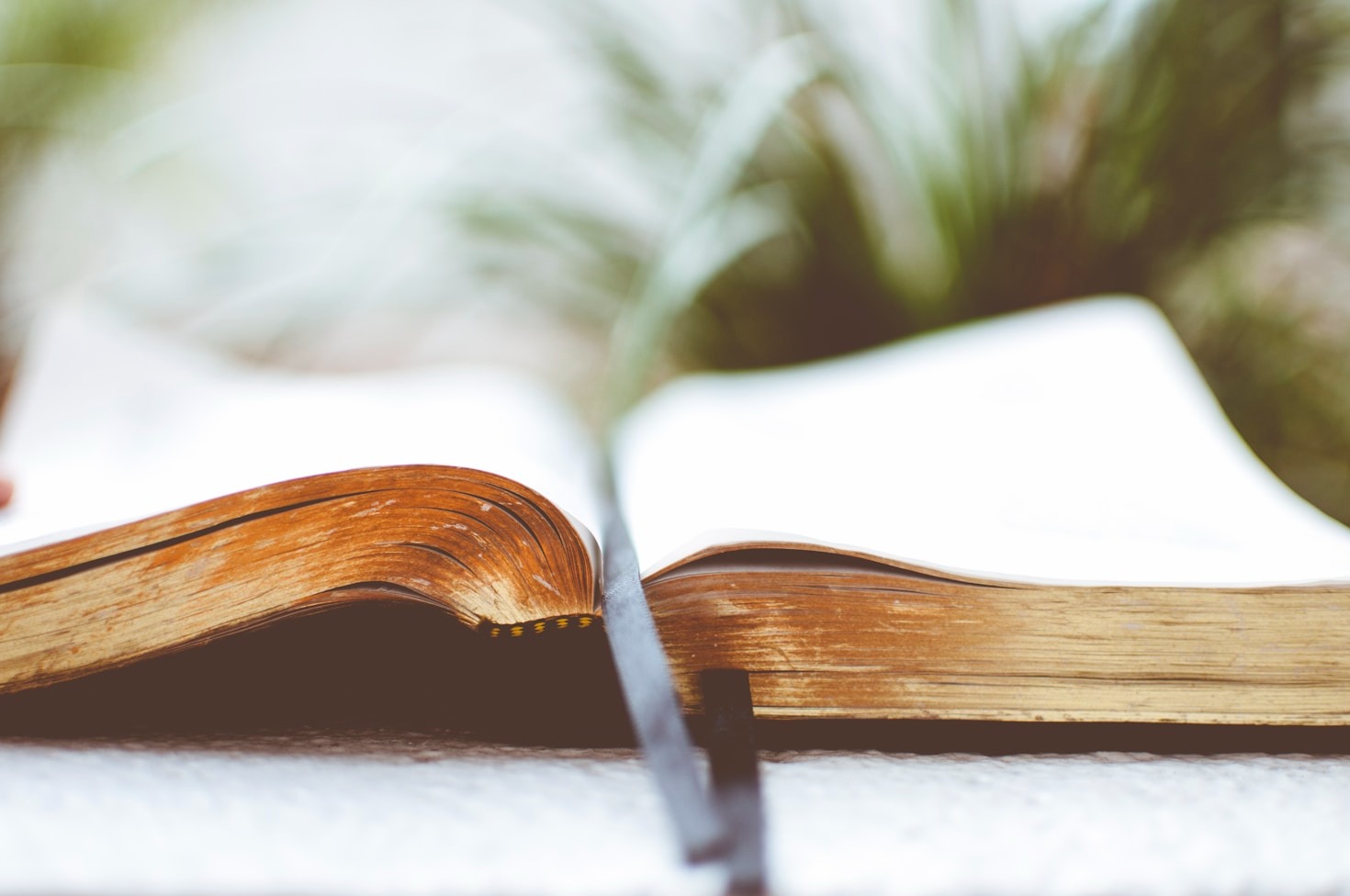 Why The NASB95 Enhances Your Personal Study
