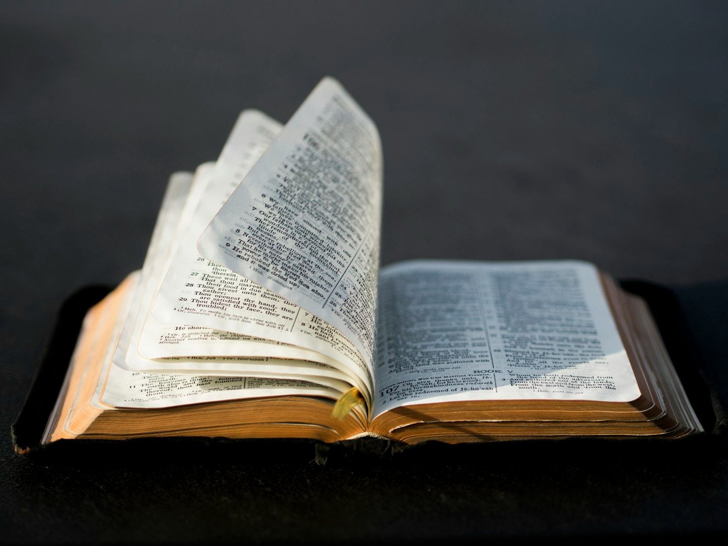 Bridging The Gap Between Text And Application